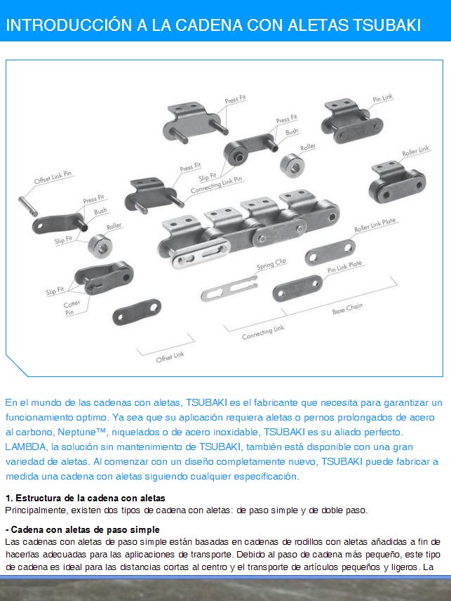 INTRODUCCIÓN CADENAS CON ALETAS