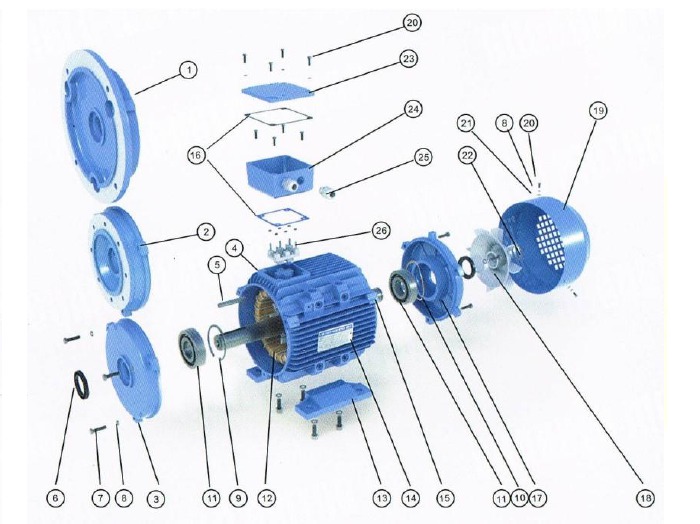 Cómo funciona un motor eléctrico: tipos y partes